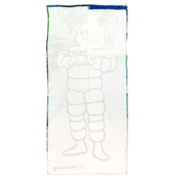 beach in a bag reverso